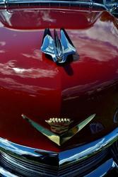 GGGGff_DSC0043a (54).jpg