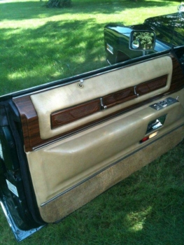 1976 Cadillac Eldorado Convertible Driver Door Panel 2.jpg