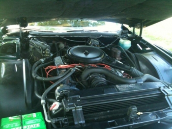 1976 Cadillac Eldorado Convertible Engine.jpg