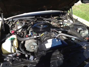 1982 Cadillac Convertible - Engine.JPG