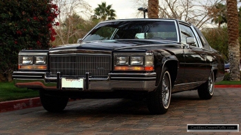 black84coupe04 WM.jpg