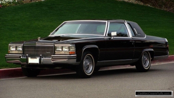 black84coupe11 WM.jpg