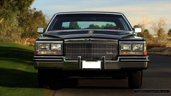 black84coupe13 WM.jpg