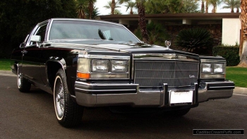 black84coupe17 WM.jpg
