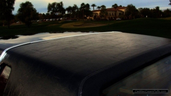 black84coupe29 WM.jpg