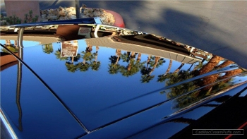 black84coupe32 WM.jpg