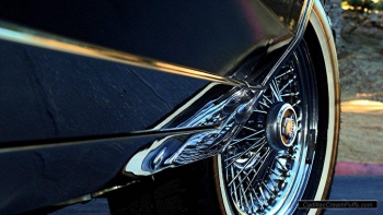 black84coupe36 WM.jpg