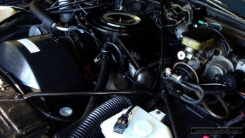 black84coupe57 wm.jpg
