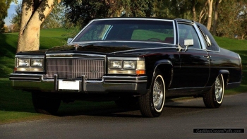 black84coupe65 WM.jpg