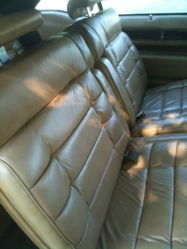 1976 Cadillac Eldorado Convertible 1258 (6).jpg
