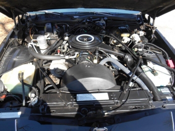 1984CadillacFleetwood Brougham (15).jpg
