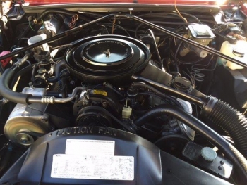 1985 Cadaillac Biarritz Convertible (4).jpg