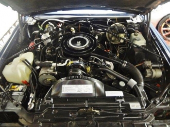 1984 Cadillac Biarritz Coupe C1276 (7).jpg