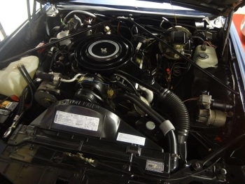 1984 Cadillac Biarritz Coupe C1276 (12).jpg