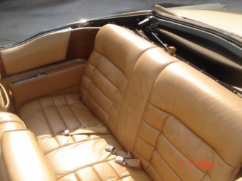 Back Seat.jpg