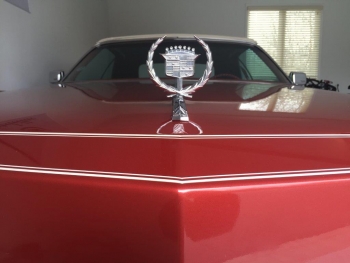 1976 Cadillac Eldorado Convertible C1292 Hood Ornament.jpg