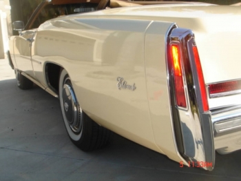 Left Fender.jpg