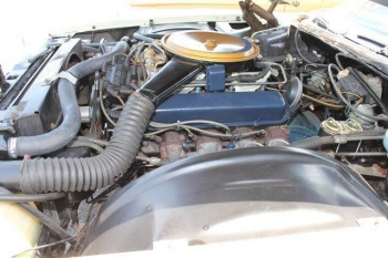 1976CadillacEldoradoConvertibleC1294- ENG (1).jpg