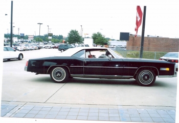 scan0006.jpg