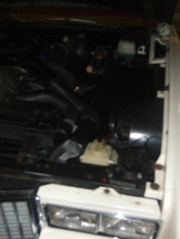 DSCF0144.jpg
