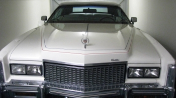 carpix3.jpg