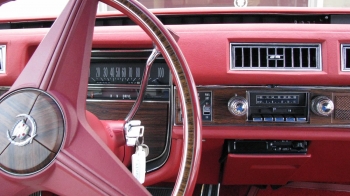 carpix5.jpg