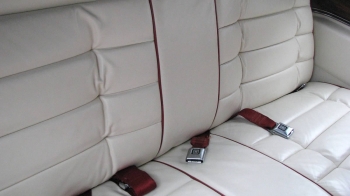 carpix6.jpg