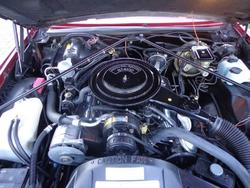 IMG_4500.jpg