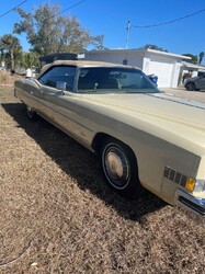 ttttttIMG_2105 (6).jpg