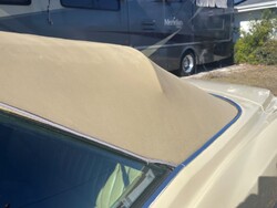 ttttttIMG_2105 (11).jpg