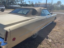 ttttttIMG_2105 (13).jpg