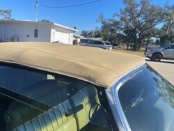 ttttttIMG_2105 (18).jpg