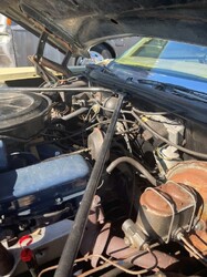 ttttttIMG_2105 (29).jpg