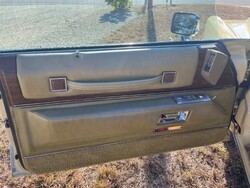 ttttttIMG_2105 (30).jpg