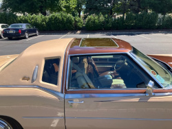 8671282291266094588.jpg
